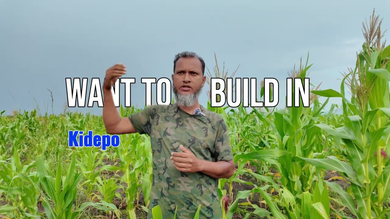 ফার্স্ট মুভার: পূর্ব আফ্রিকার অদখলকৃত সোনার খনি