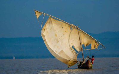 Agriculture: The Future of Uganda’s Sustainable Economy