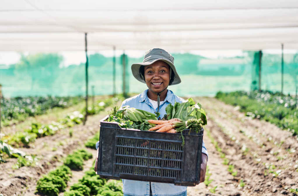 cameroon agriculture