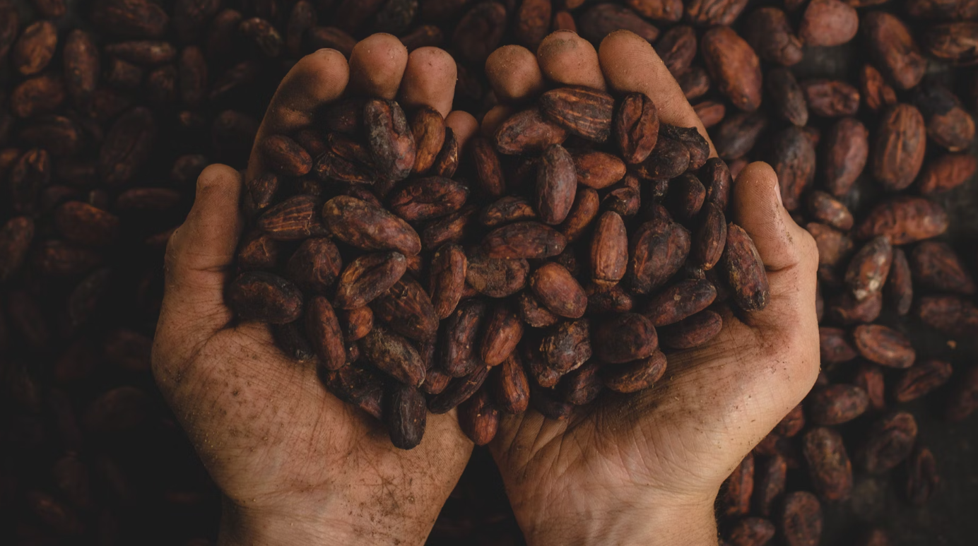 cocoa