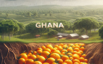 Ghana’s Gold Rush: Expanding Opportunities for Investing in Gold