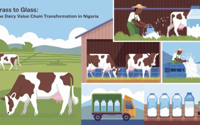 Grass to Glass: The Dairy Value Chain Transformation in Nigeria