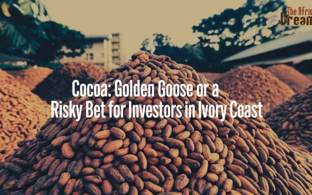 Cocoa: Golden Goose or a Risky bet for Investors in Ivory Coast