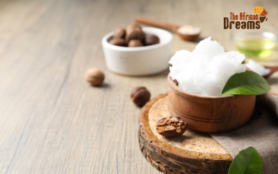 Exploring the Shea Nut Industry in Uganda