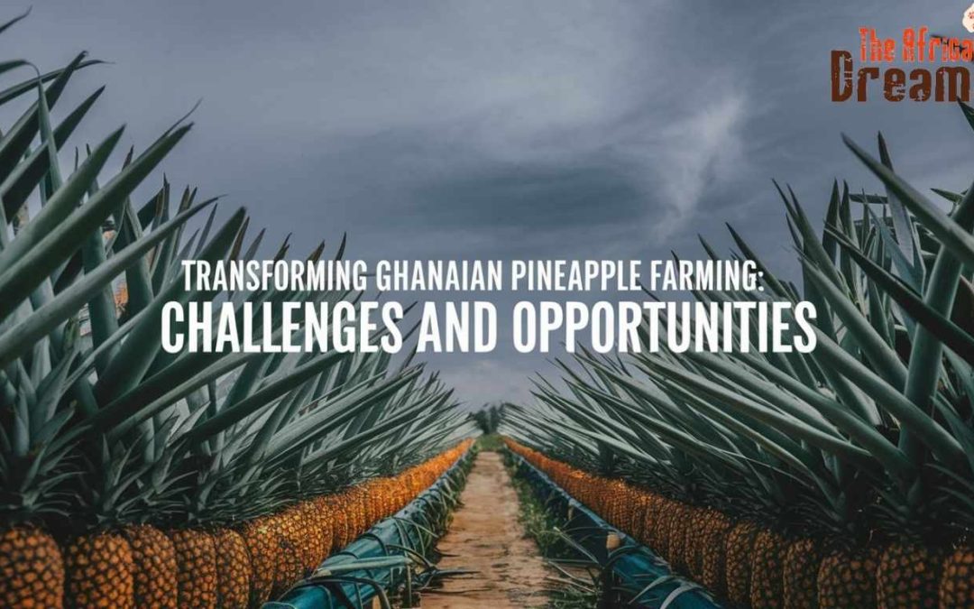 Transforming Ghanaian Pineapple Farming: Challenges and Opportunities