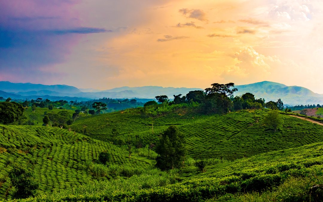 Uganda: The Pearl of Africa with Unfathomed Tourism Potential