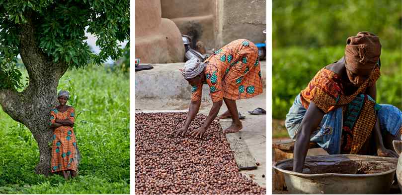 women collecting and processing shea butter