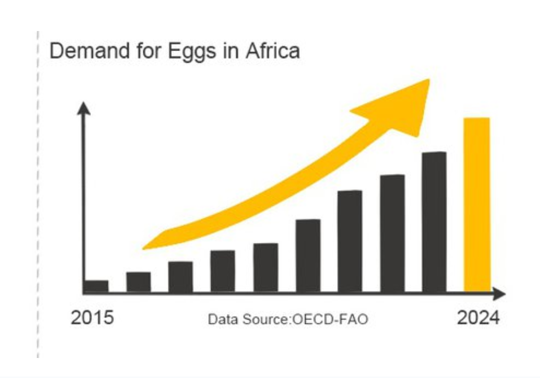 a demand graph showing the demand of eggs in Africa