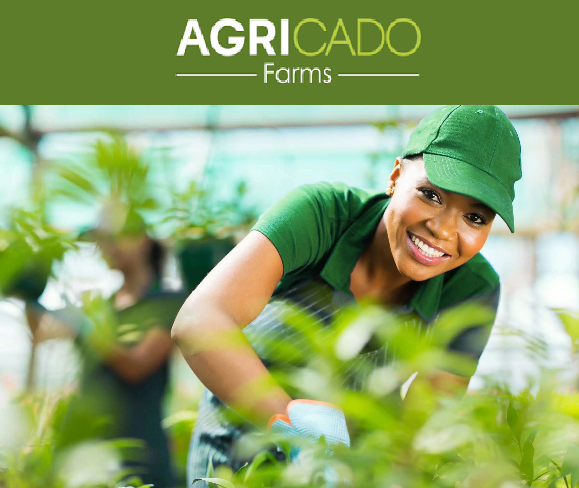 lady working in agricado farms 