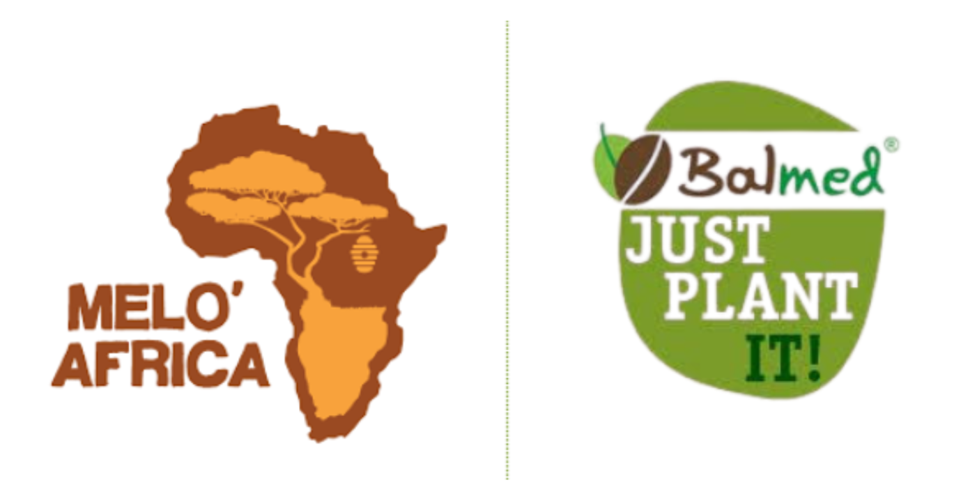Logos for Melo Africa and Balmed Holdings