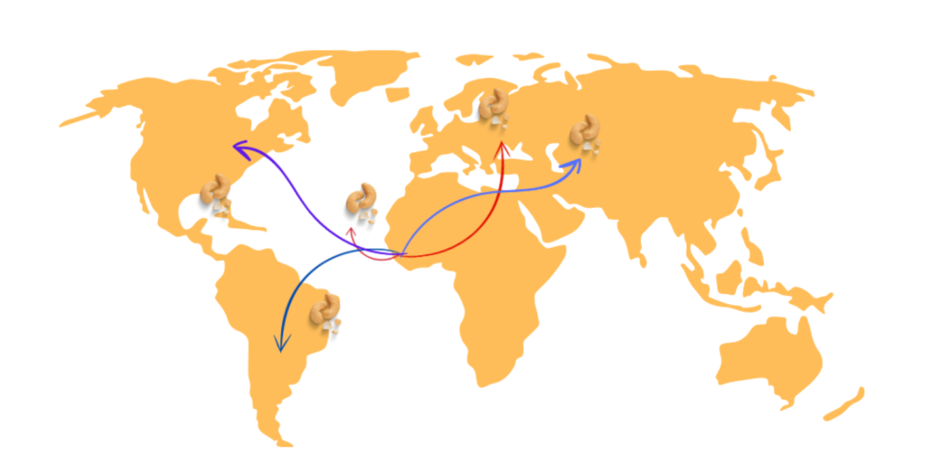 An Illustration showing the global market potential of exporting cashews from Sierra Leone