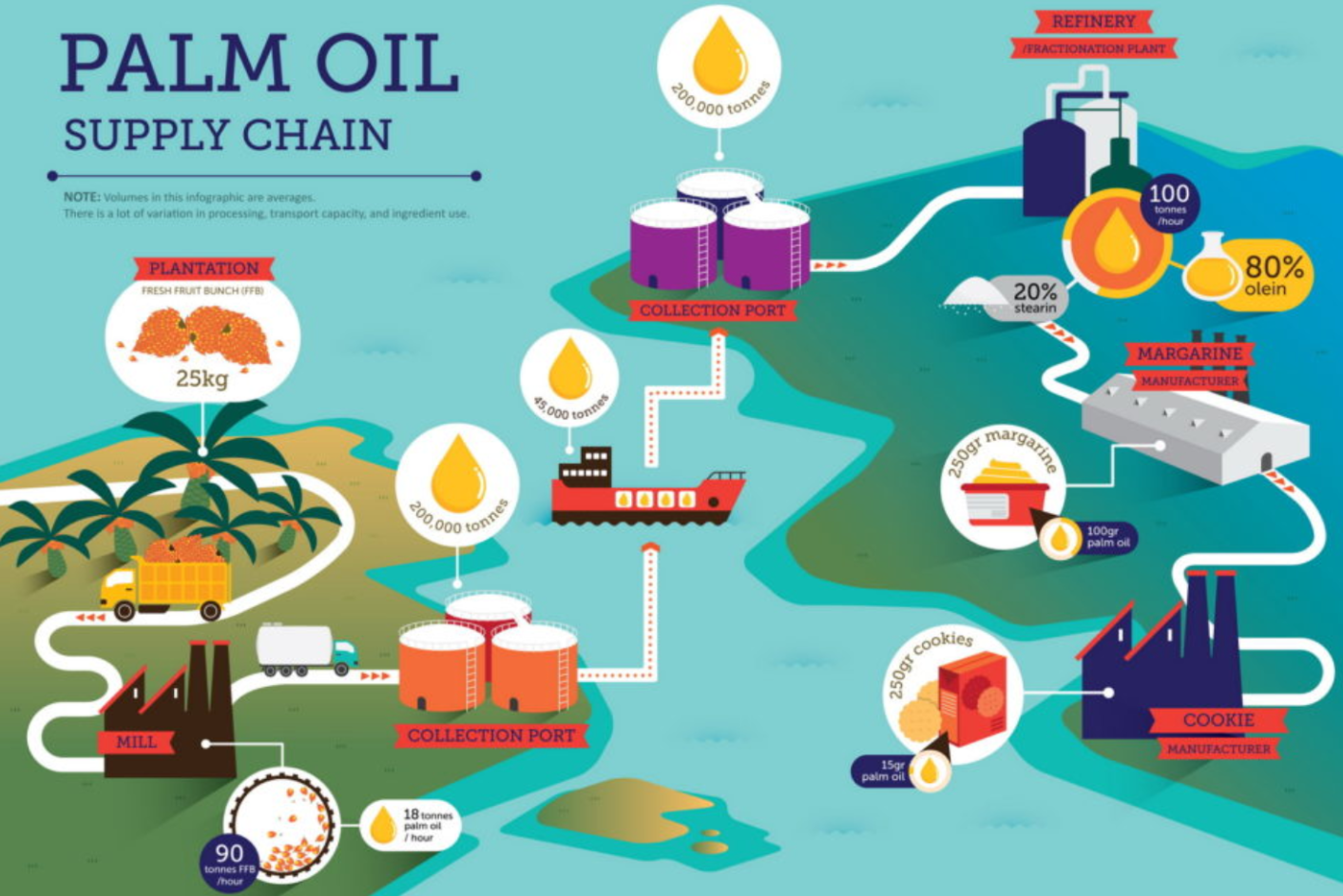 A visualization of the value chain process of palm oil production