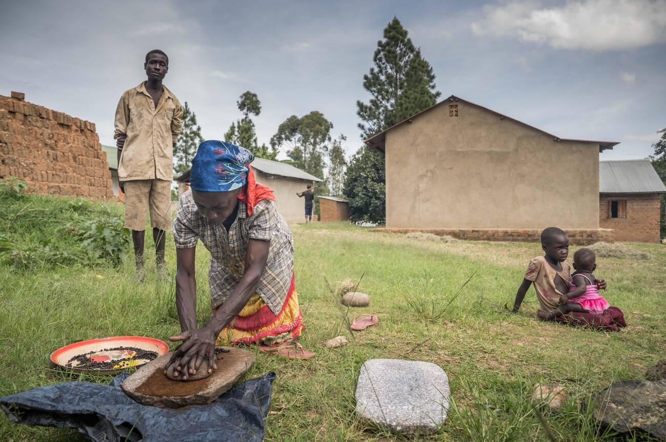 A female local villager seen grinding roasted coffee beans into powder with stones for customers to consume. A female local villager seen grinding roasted coffee beans into powder with stones for customers to consume.