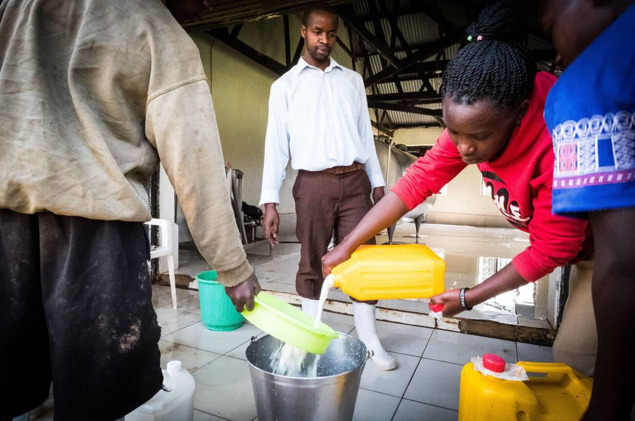 A local dairy collects milk from the local community in Uganda A local dairy collects milk from the local community in Uganda