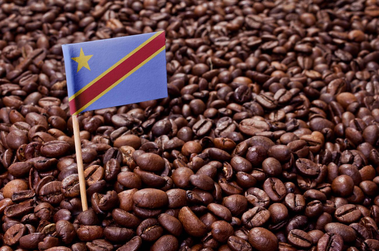 Flag of Democratic Republic of the Congo sticking in roasted coffee beans. Flag of Democratic Republic of the Congo sticking in roasted coffee beans.