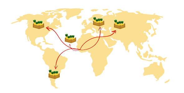 An illustration of the International Export Potential of Sierra Leone’s pineapples