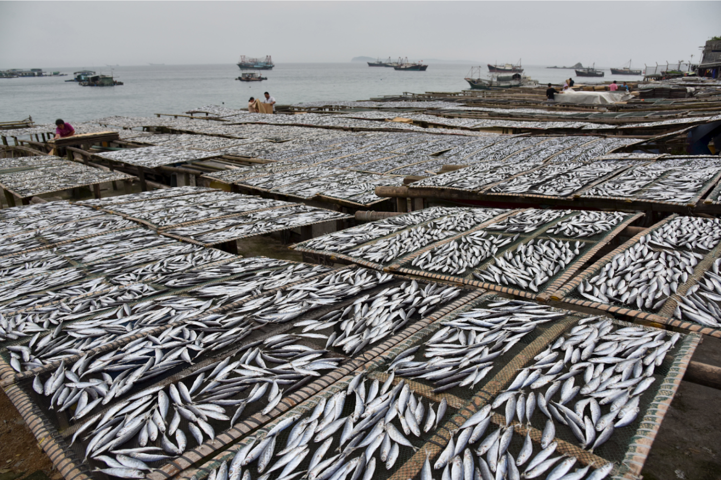 An image that depicts overfishing which can lead to resource depletion