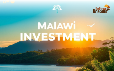 Investors Guide: Doing Business in Malawi with Malawi Investment and Trade Centre (MITC)