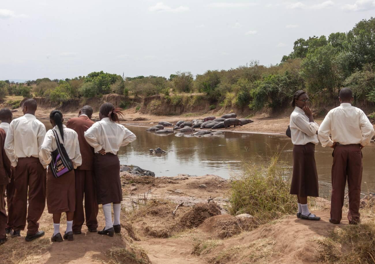 Kenyan pupils watching hippos in a river, Rift Valley Province, Maasai Mara, Kenya Kenyan pupils watching hippos in a river, Rift Valley Province, Maasai Mara, Kenya