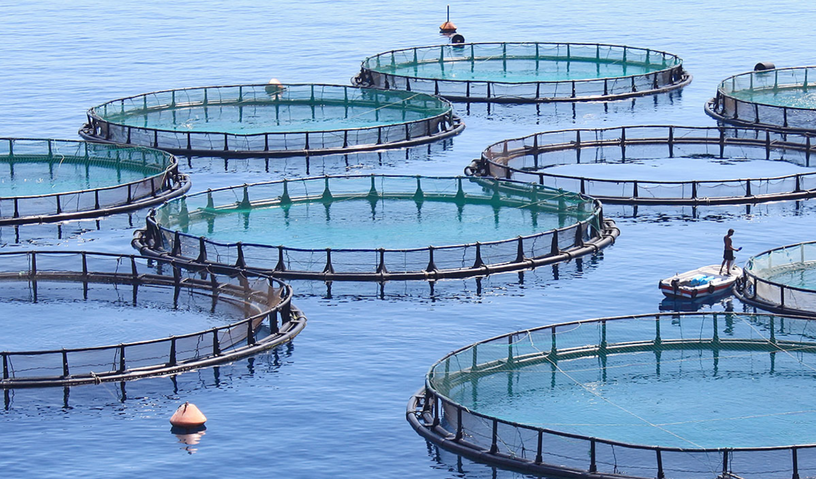 Modern fishery equipment in use for better output