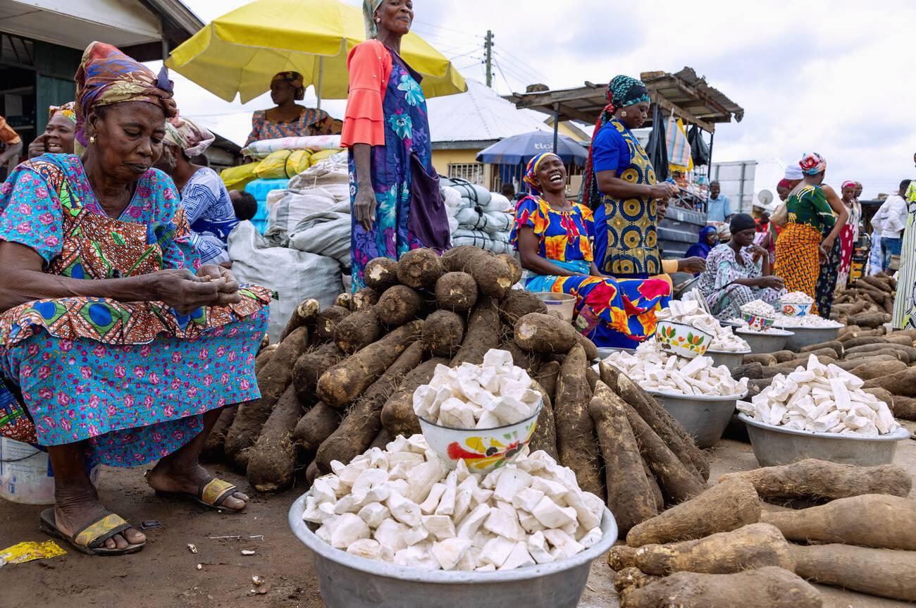 Yam and cassava market at the market in Sawla in the Savannah Region of central Ghana in West Africa