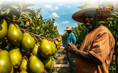 An Investor’s Outlook on the Avocado Production in Kenya