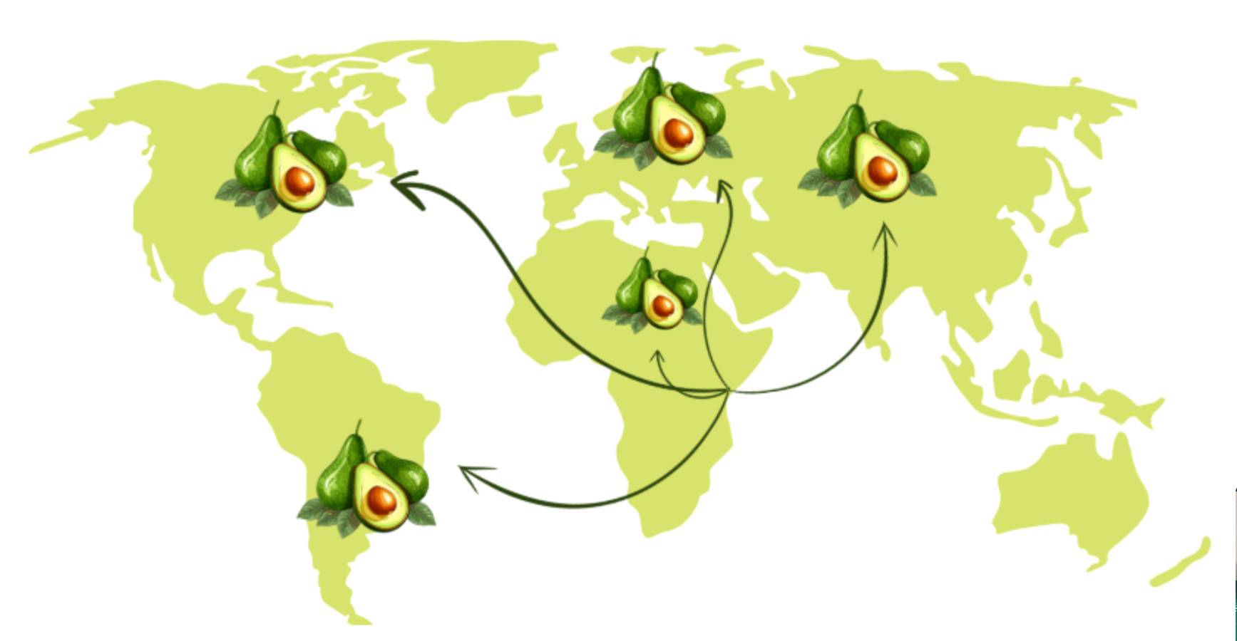 An illustration of the trade network for avocado export from Kenya