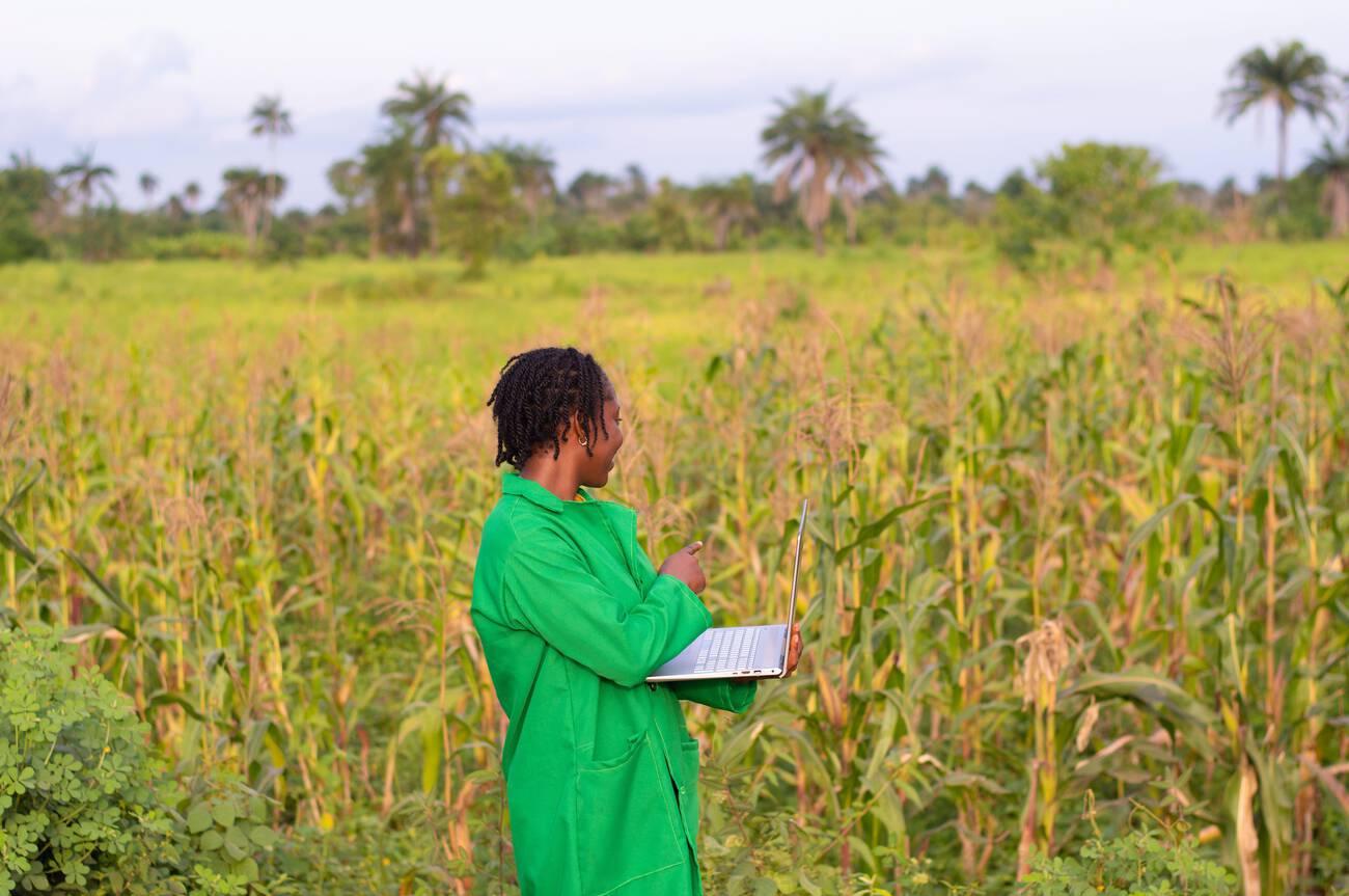 African female farmer using her laptop in the field African female farmer using her laptop in the field