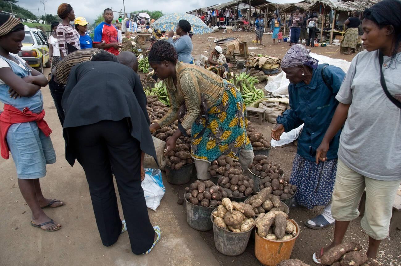 Cassava cameroon Roadside market with yams coco yams cassava and plantain on sale near Buea Southwest province Cameroon West Africa