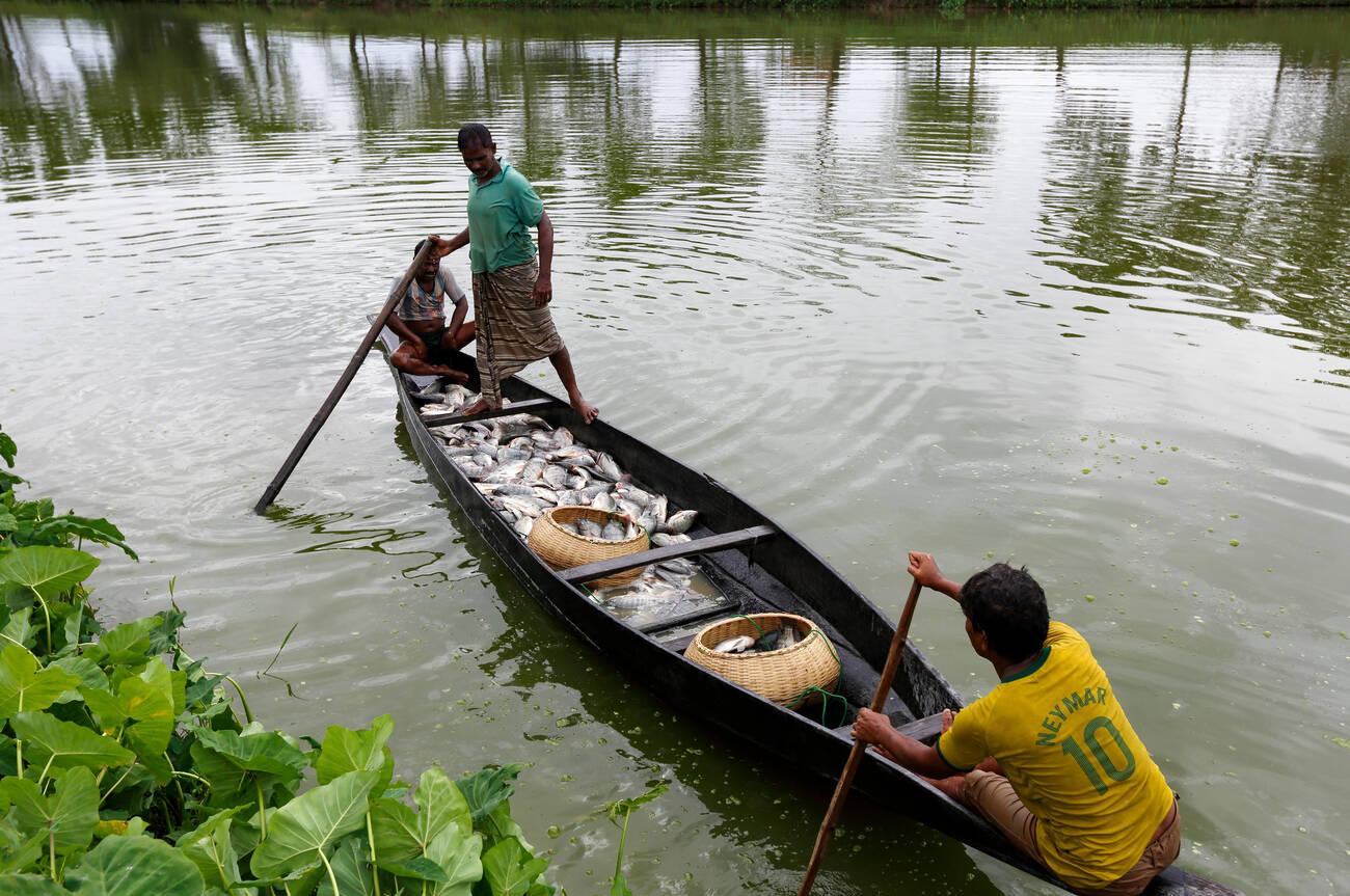 Freash water fish farming Fresh water fish farming