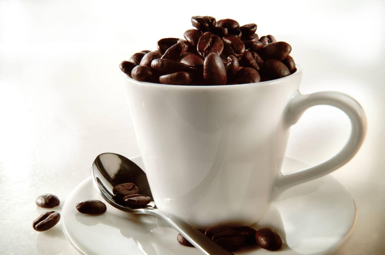 Fresh coffee beans in a coffee cup. Fresh coffee beans in a coffee cup.