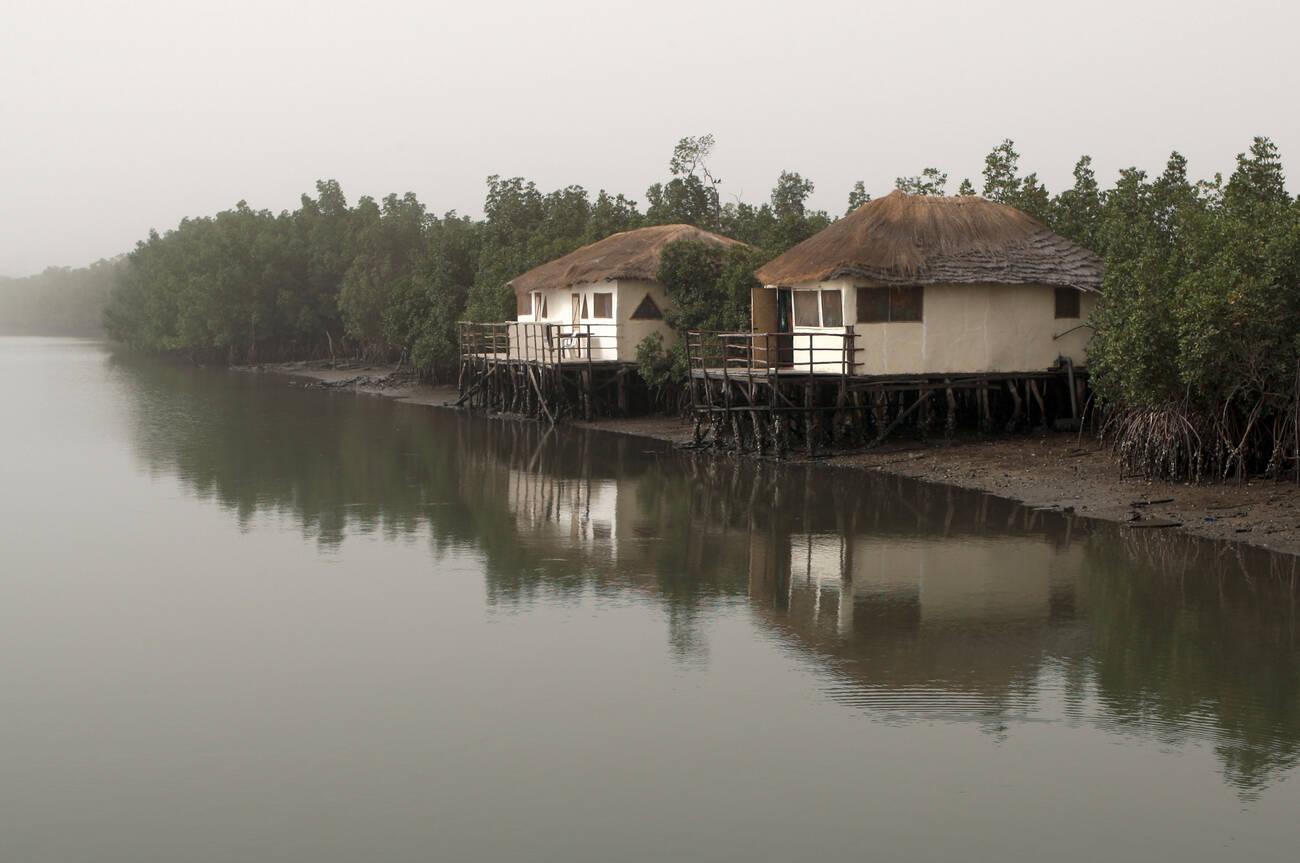 Lodge, mangrove, Bintang Bolong river, The Gambia