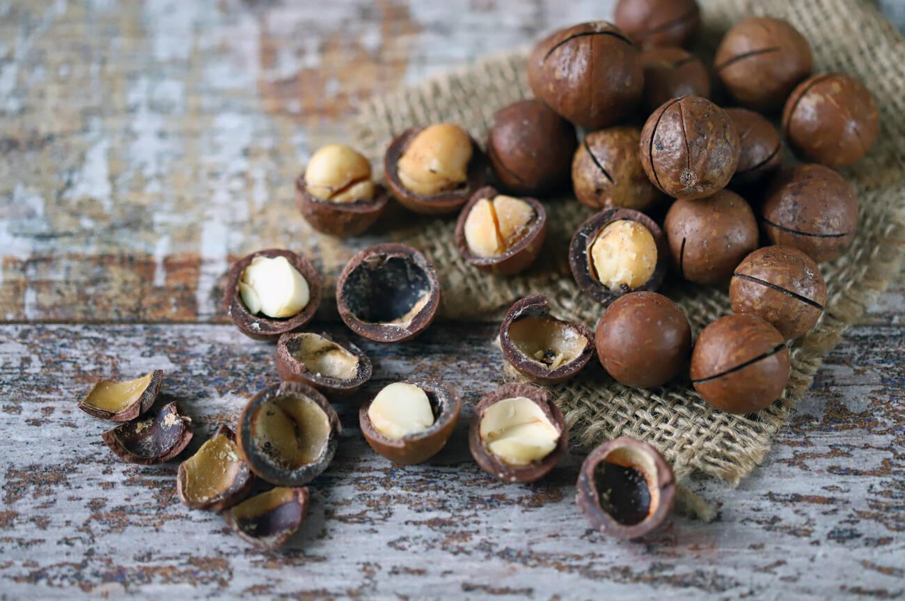 Macadamia nuts The hardest nuts in the world
