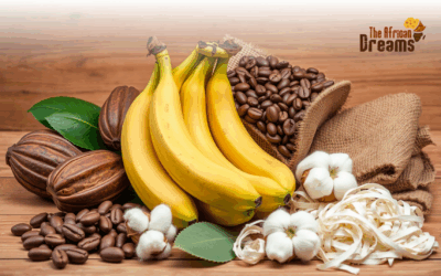 Top 5 Agricultural Products in Cameroon To Invest In