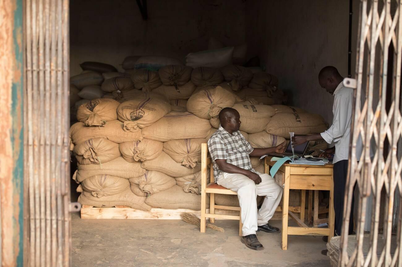 alamy_2C89HMB Burlap sacks of dried coffee beans are labeled "For export only" at a farmers' cooperative warehouse in Mbale, Uganda, East Africa.