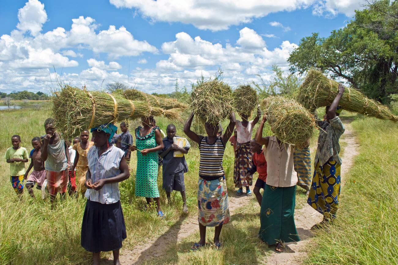 alamy_CCEYDJ women returning from the fields carrying bales of cut grass used for thatching.