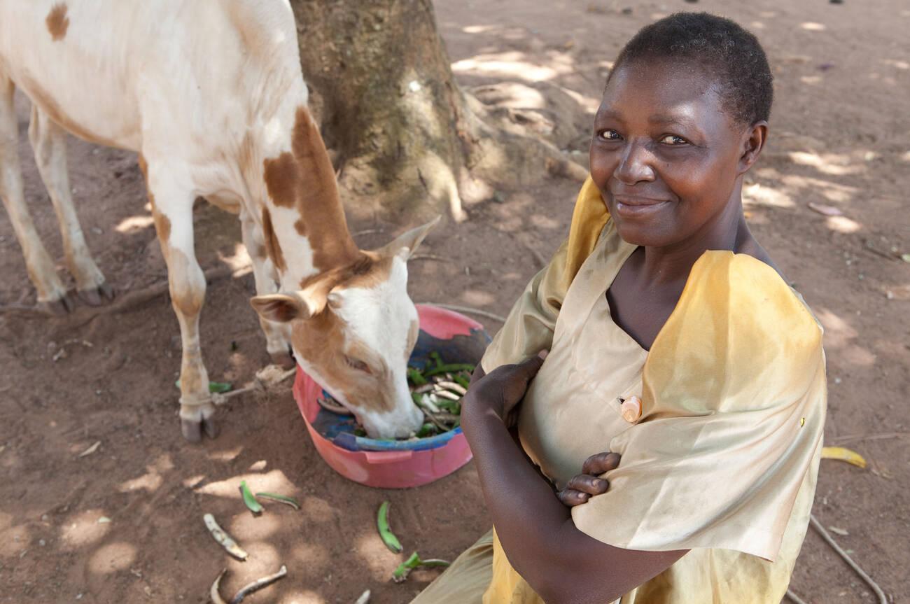 A woman (Mrs. Lobina Taziba.) poses with her cow in Iganga, Eastern Uganda, East Africa.