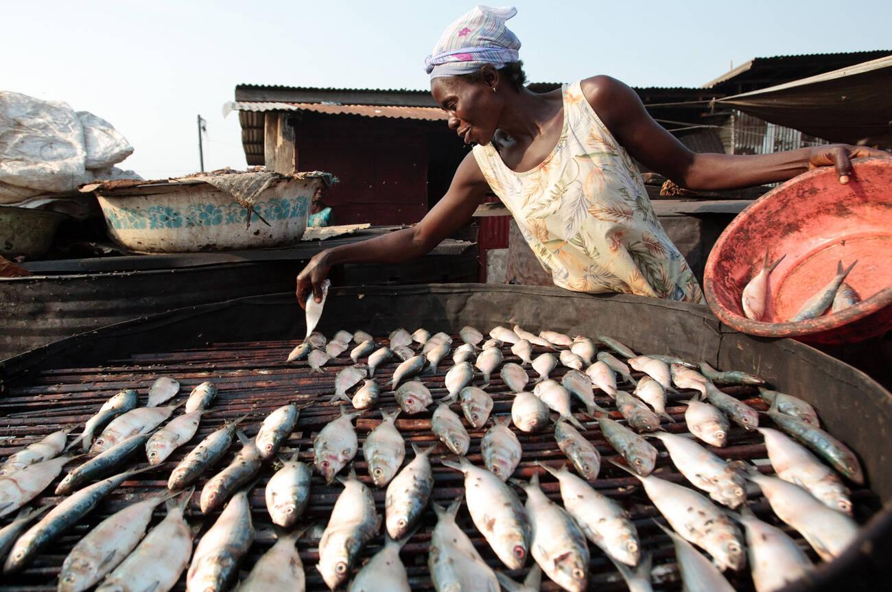 A woman lays out fish to somke in the West Point slum of Monrovia, Montserrado county, Liberia 