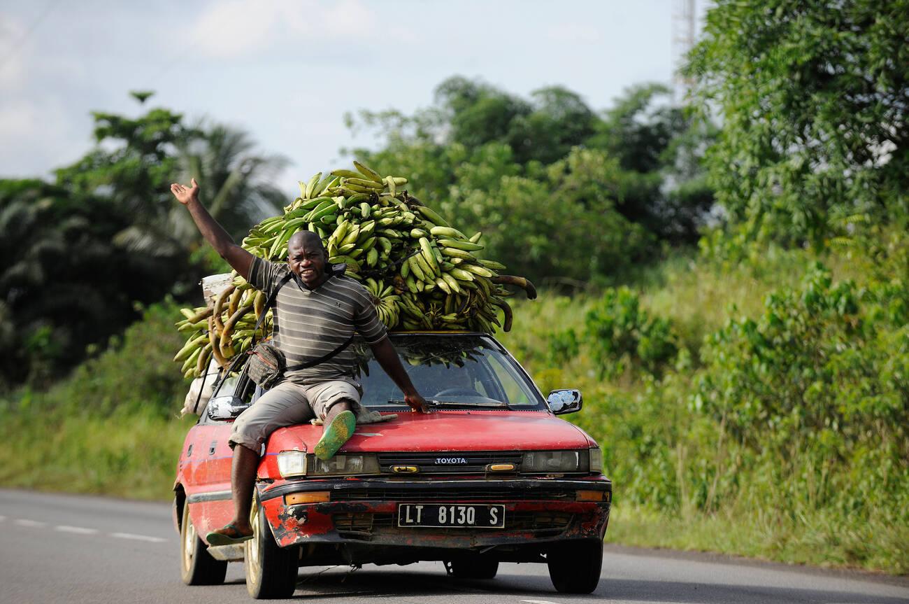 Bananas being transported on a car, Kribi, South Region, Cameroon Bananas being transported on a car, Kribi, South Region, Cameroon