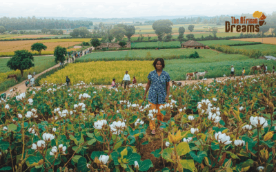 The Potential of Cotton Industry in Uganda