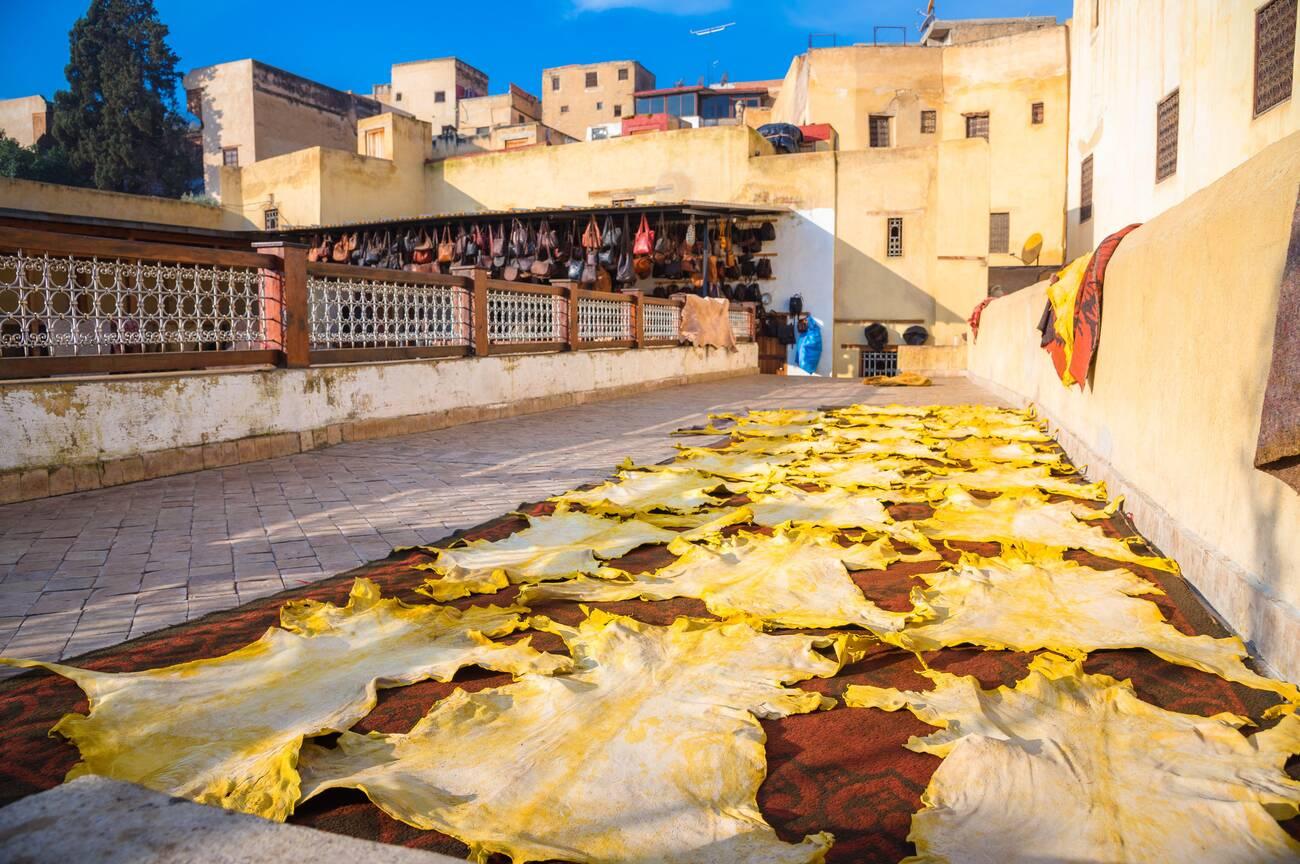 Leather dying in a traditional tannery in the city