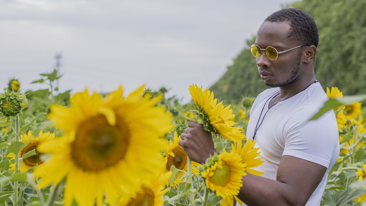 man working on sunflower field