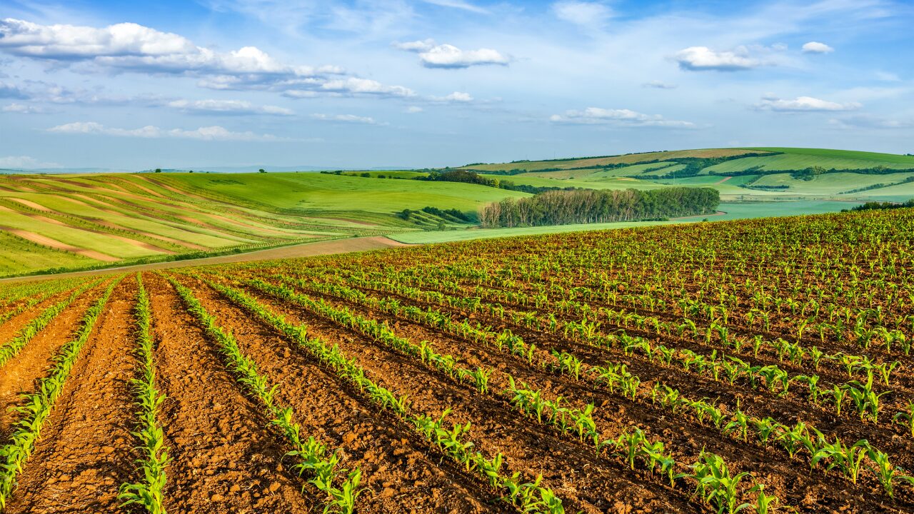agri land of mali Agri land of mali