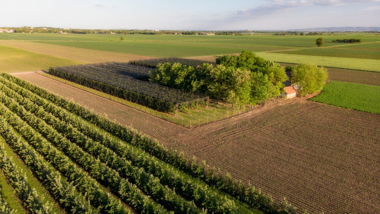 agricultural land