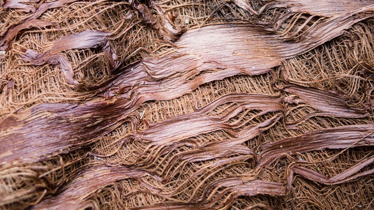 banana fibre banana fibre