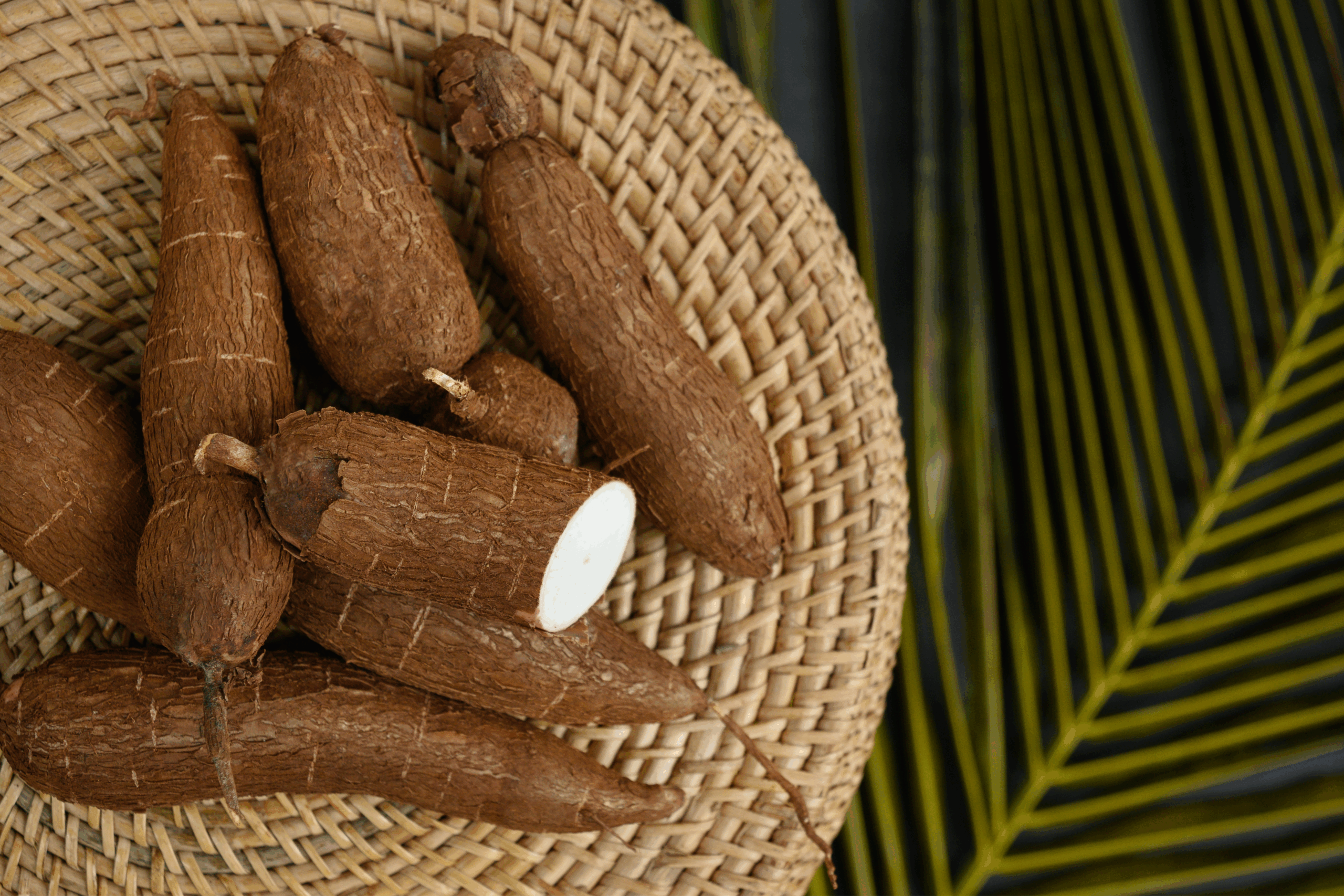 cassava in bucket