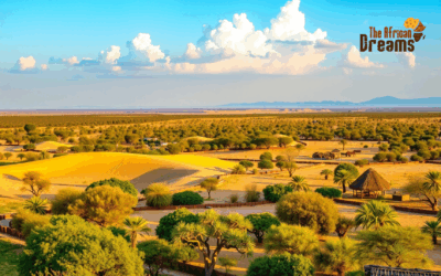 Top 3 Profitable Sectors for Investment in Chad: Growing Opportunities