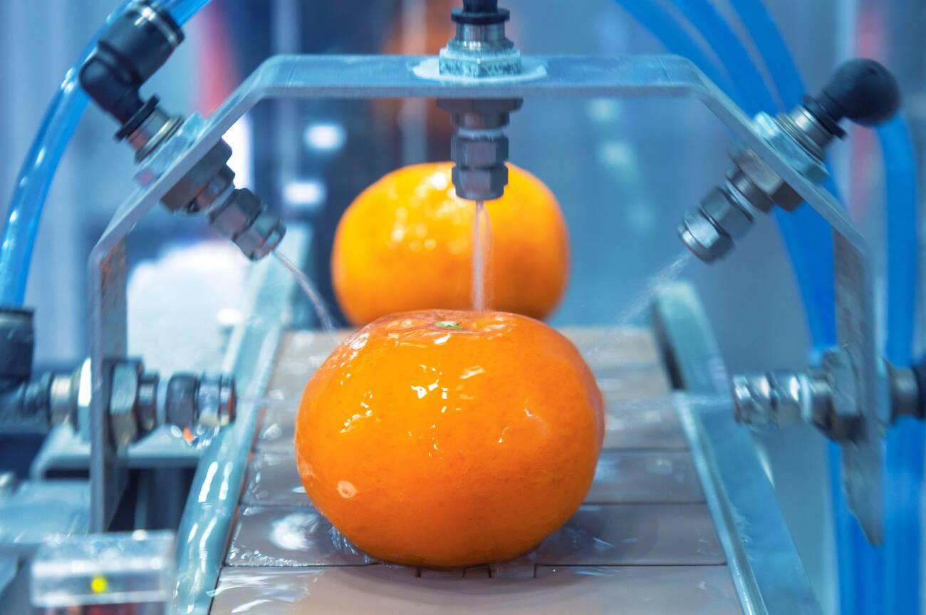 Washing om conveyor belt at fruits automation water spray machine.
