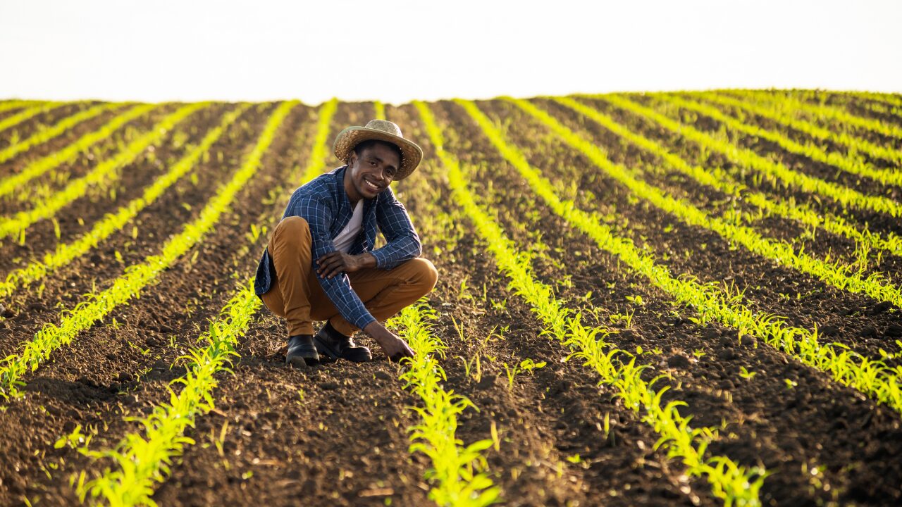 farmers in field