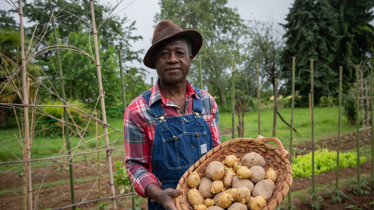 farmer with potato farmer with potato